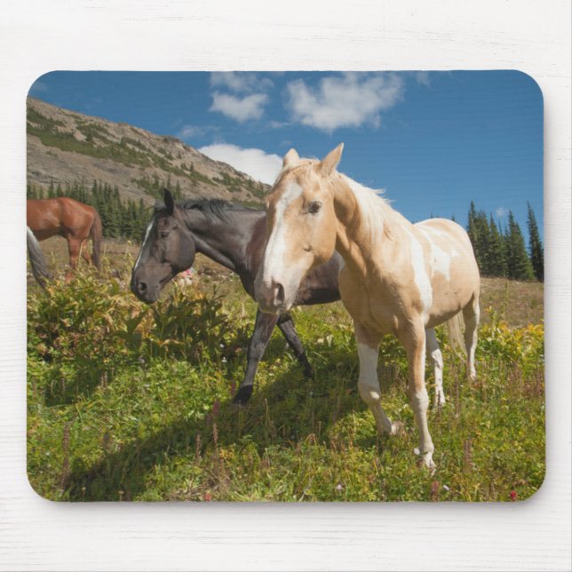 North Cascades National Park Mouse Pad (Front)