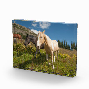 North Cascades National Park Photo Block