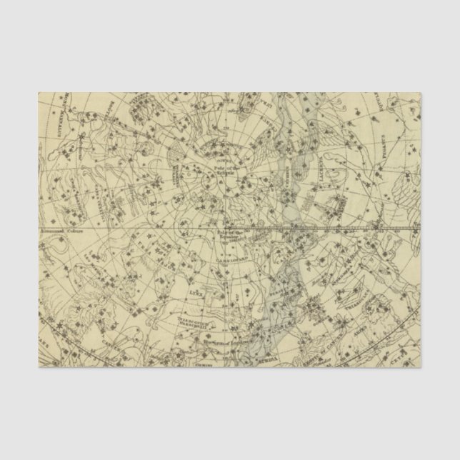 North Celestial Hemisphere Tissue Paper (Front)