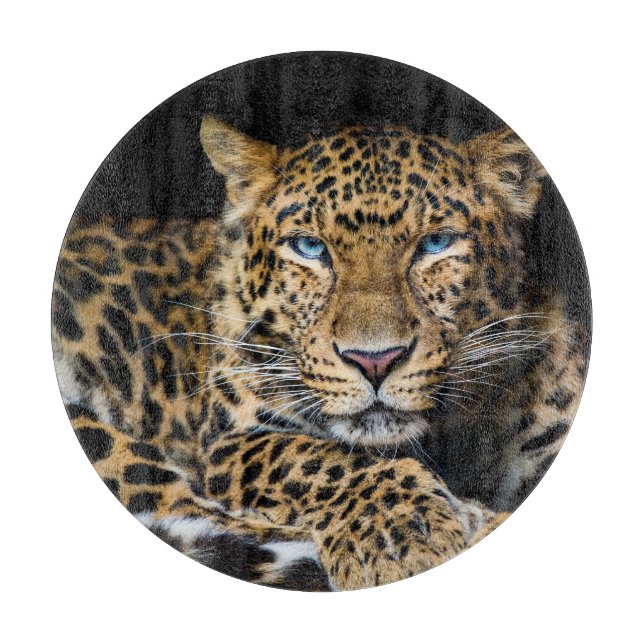 North China Leopard Zoo Illustration Cutting Board (Front)