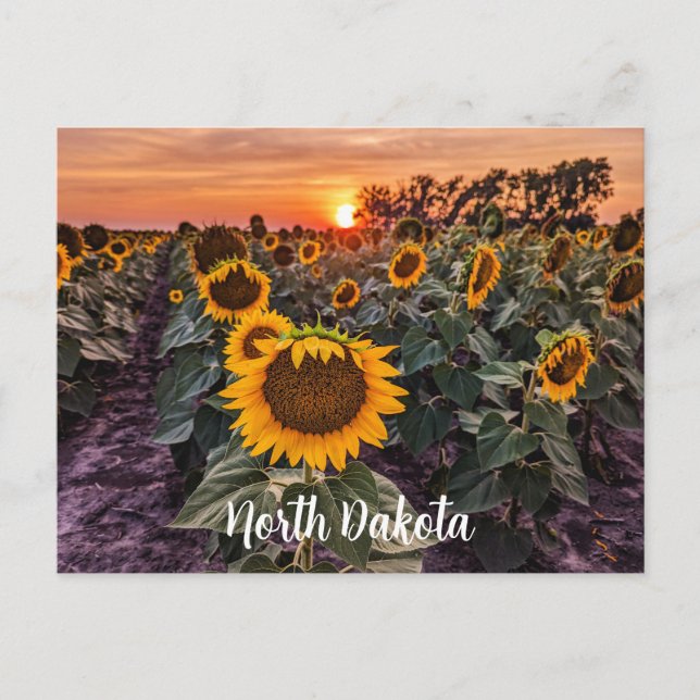 North Dakota Postcard (Front)