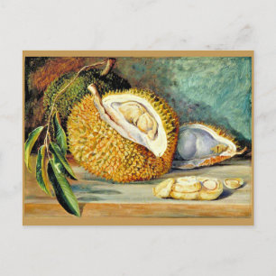 North - Durian, fruit from a large tree, Postcard