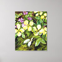 North - Flowers of a Dogwood and an Indigo