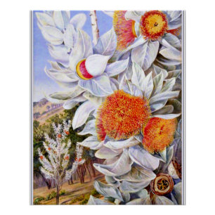 North - Foliage, flowers and seed vessels,  Poster