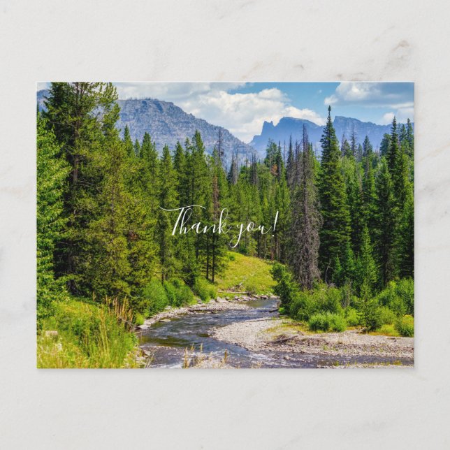 North Fork Shoshine River Thank you Postcard (Front)