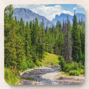 North Fork Shoshone River Coaster