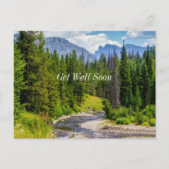 North Fork Shoshone River Get Well Soon Postcard (Front)