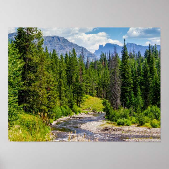 North Fork Shoshone River Poster (Front)