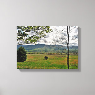 North Georgia Mountains Scene Canvas Print