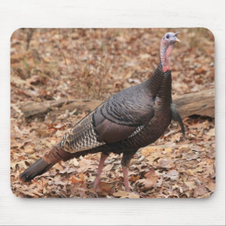 North Georgia Wild Turkey Mouse Pad