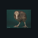 North Island Brown Kiwi Canvas Print<br><div class="desc">This image shows a North Island Brown Kiwi, a flightless bird native to New Zealand. Feathers resembling a shaggy coat of brown hair cover the kiwi's body. The kiwi's long, curved, pale grey-brown bill is unique in the bird world in having the nostrils located near the tip. They smell their...</div>