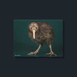 North Island Brown Kiwi Canvas Print<br><div class="desc">This image shows a North Island Brown Kiwi, a flightless bird native to New Zealand. Feathers resembling a shaggy coat of brown hair cover the kiwi's body. The kiwi's long, curved, pale grey-brown bill is unique in the bird world in having the nostrils located near the tip. They smell their...</div>
