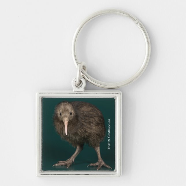 North Island Brown Kiwi Keychain (Front)