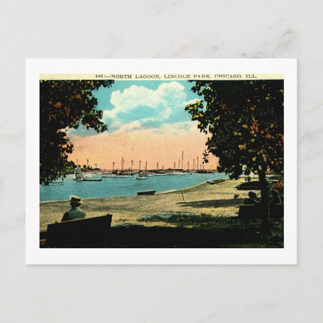 North Lagoon, Lincoln Park, Chicago Vintage Postcard (Front)