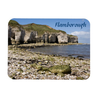 North Landing at Flamborough in Yorkshire photo Magnet