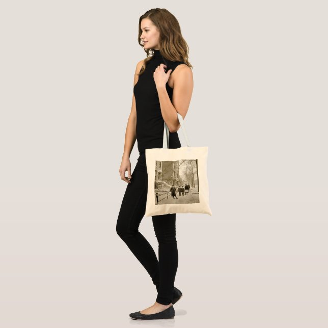 NORTH LINCOLN PARK CHICAGO W. OF MENOMINEE 1890'S TOTE BAG (Front (Model))