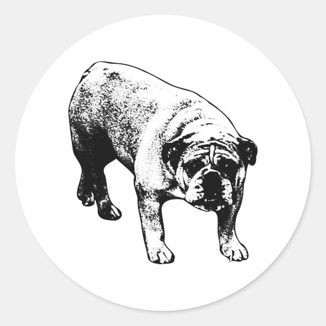 North Pole Bulldog Seal (Front)