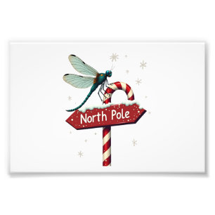 North Pole Dragonfly Photo Print