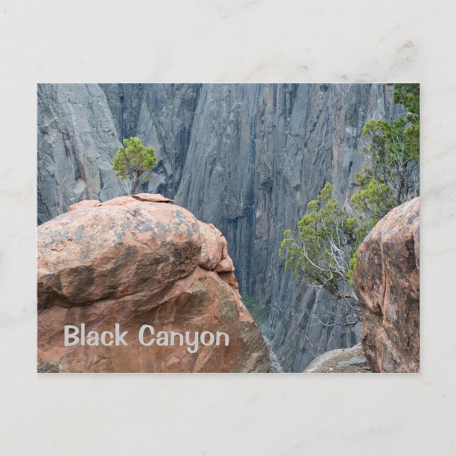 North Rim of the Black Canyon Postcard (Front)