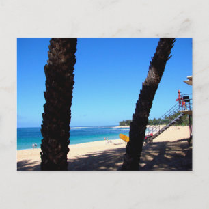North Shore Oahu Hawaii Beach with Surfboard  Postcard