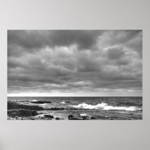 North Shore Vigour 1 Poster