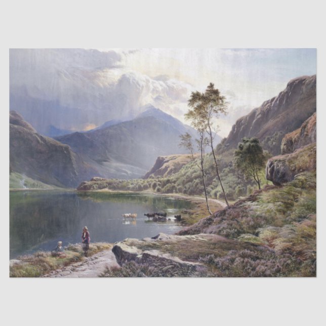 North Wales Lake Cows Shepherd UK Tissue Paper (Front)
