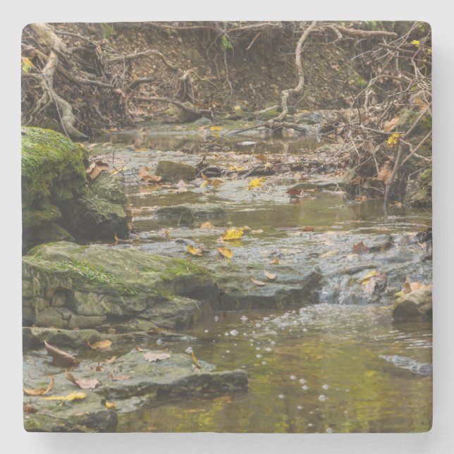 North Wears Creek Landscape Stone Coaster (Front)