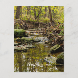 North Wears Creek Postcard