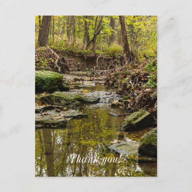 North Wears Creek Postcard (Front)