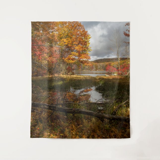 Northeast Autumn Tapestry (Front)