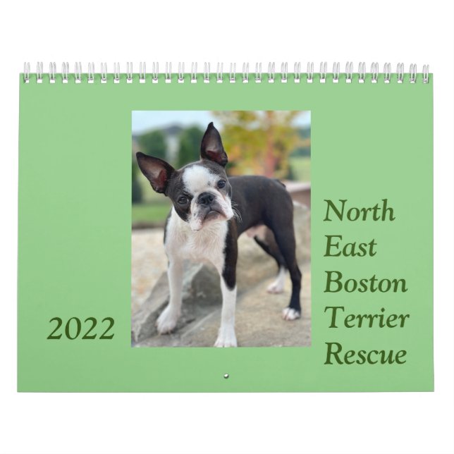 Northeast Boston Terrier Rescue 2022 Calendar (Cover)