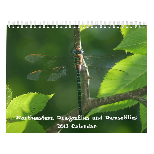 Northeastern Dragonflies Damselflies 2013 Calendar (Cover)