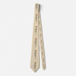 Norther Parula from Audubon's Birds of America Tie