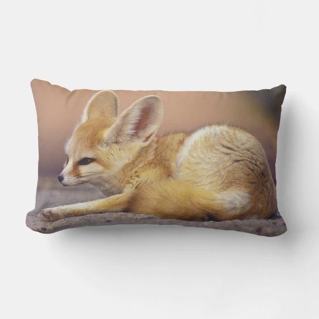 Northern Africa. Fennec Fennecus zerda) Lumbar Pillow (Front)