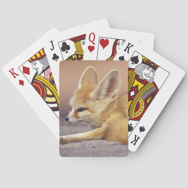Northern Africa. Fennec Fennecus zerda) Playing Cards (Back)