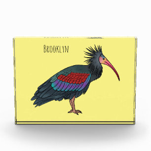 Northern bald ibis bird cartoon illustration photo block
