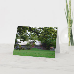 "Northern Barn" An Old Overgrown Farmstead Card