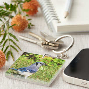 Northern Blue Jay Keychain