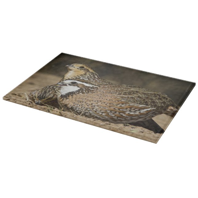 Northern Bobwhite quail babies at pond for drink Cutting Board (Corner)