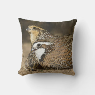 Northern Bobwhite quail babies at pond for drink Throw Pillow