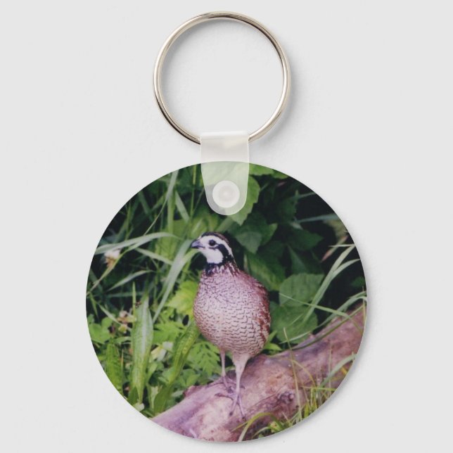 Northern Bobwhite Quail Keychain (Front)