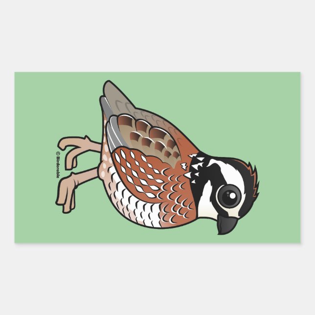 Northern Bobwhite Sticker (Front)