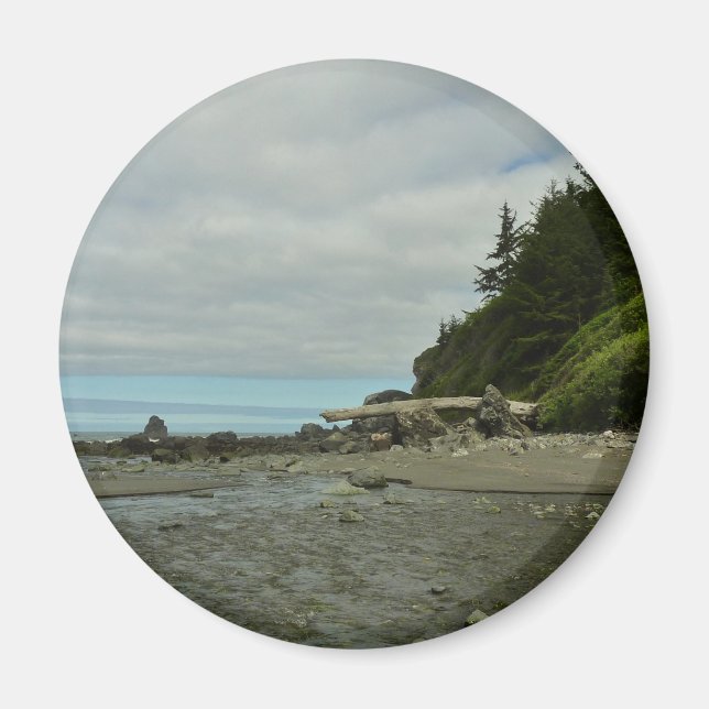 Northern California Coastline from Redwood Park Magnet (Front)