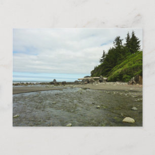 Northern California Coastline from Redwood Park Postcard