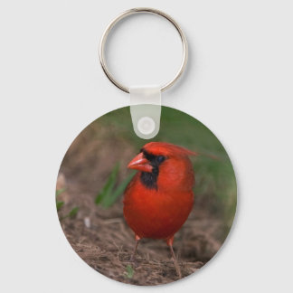Northern Cardinal 2 Keychain