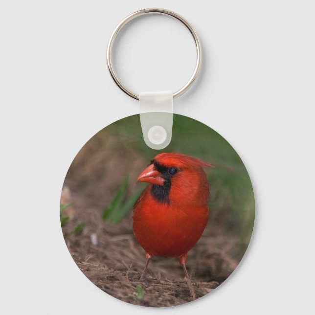 Northern Cardinal 2 Keychain (Front)