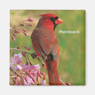 Northern Cardinal 2 Magnet
