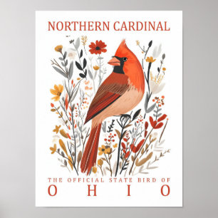 Northern Cardinal Bird of Ohio USA Poster