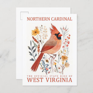 Northern Cardinal Bird of West Virginia Travel Postcard
