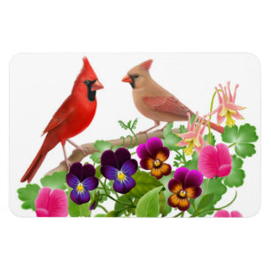 Northern Cardinal Birds Premium Magnet